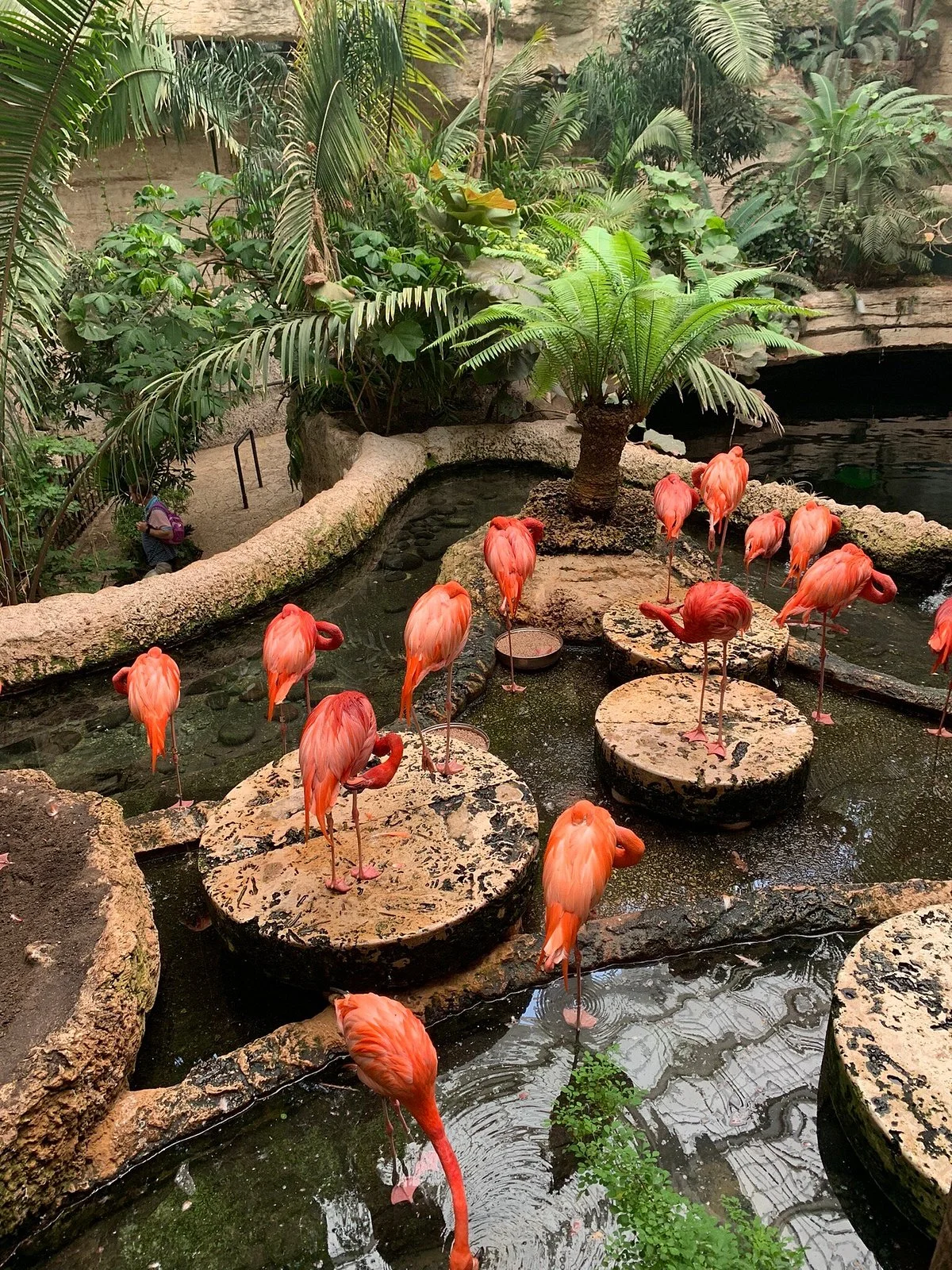 The Dallas World Aquarium