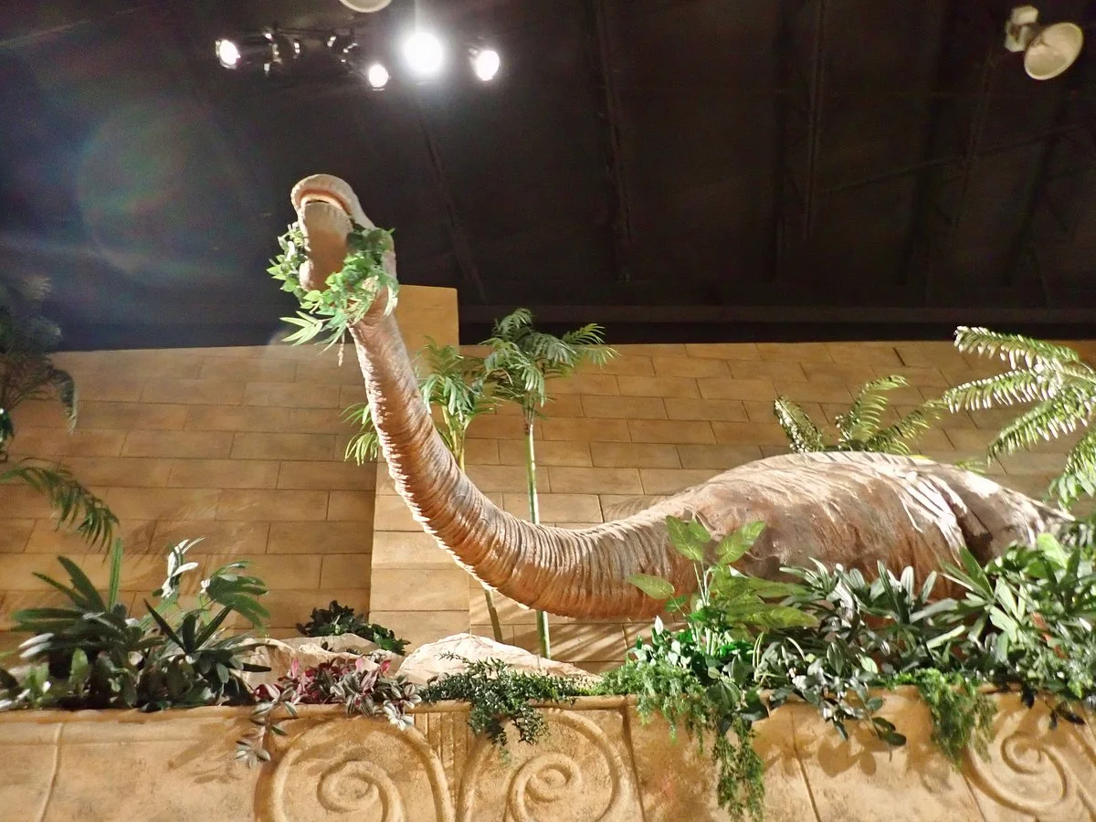 Creation Museum