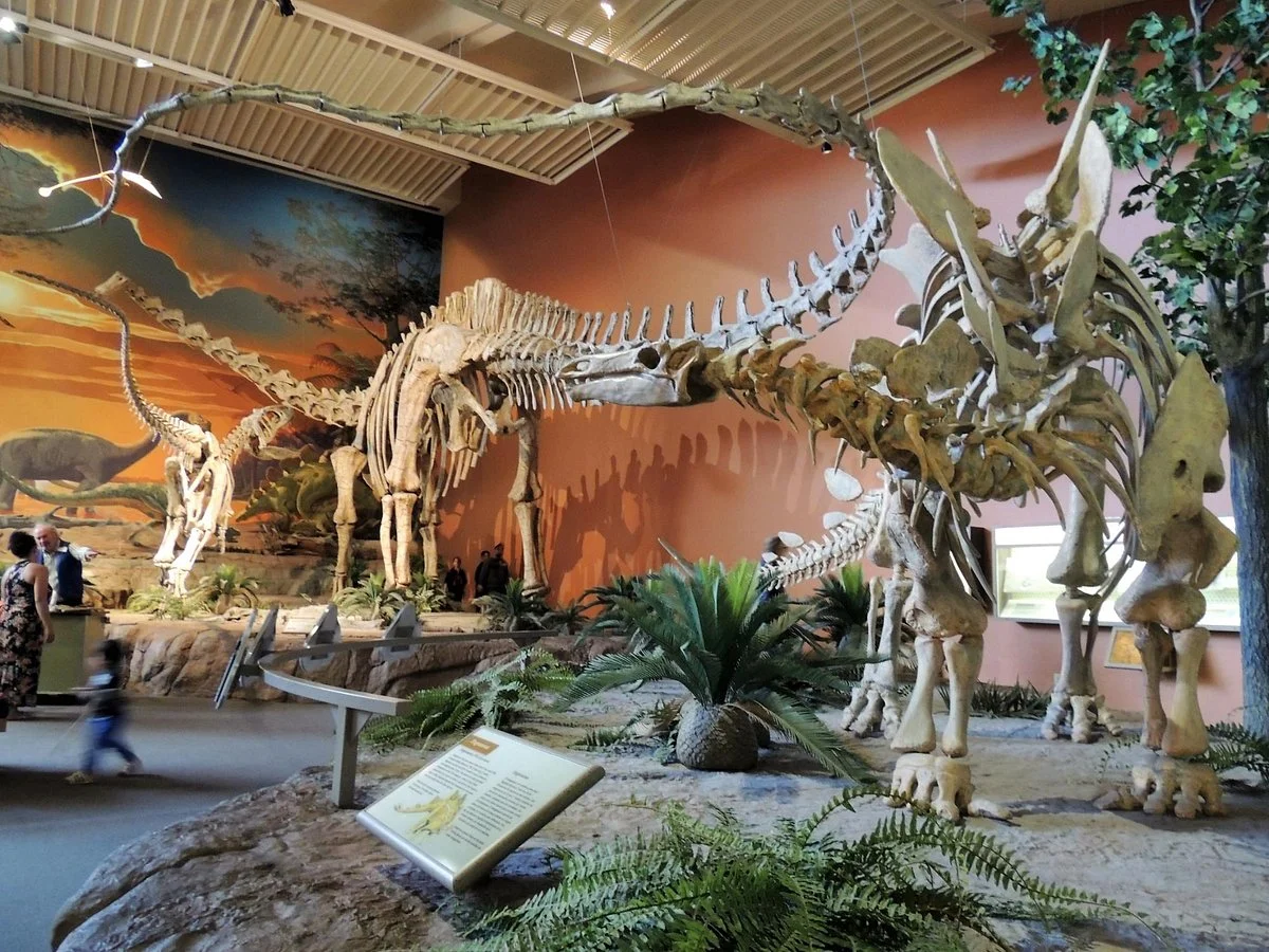 New Mexico Museum of Natural History and Science