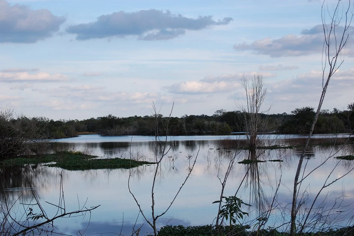 Marshall Hampton Reserve
