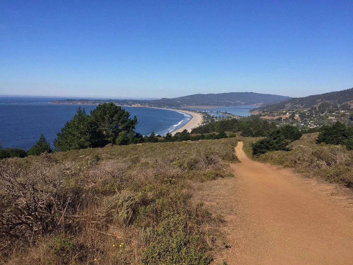 Dipsea Trail
