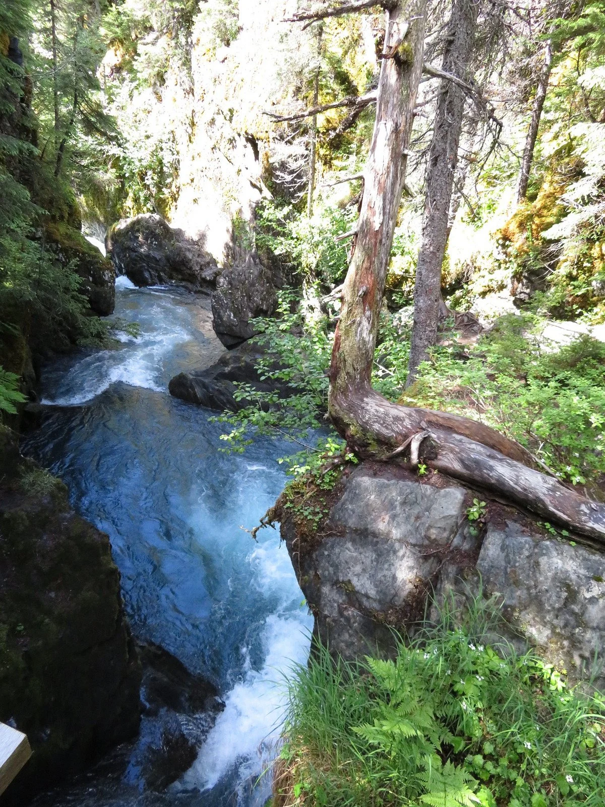 Winner Creek Trail Hand Tram