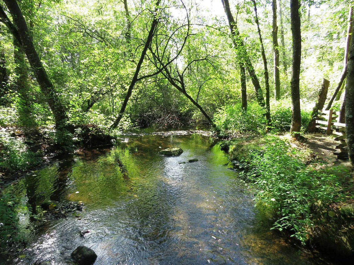 Aldergrove Park