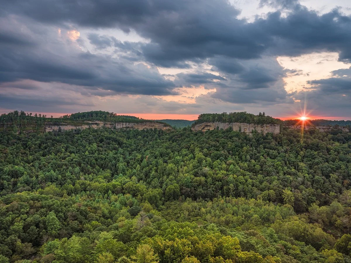 Daniel Boone National Forest