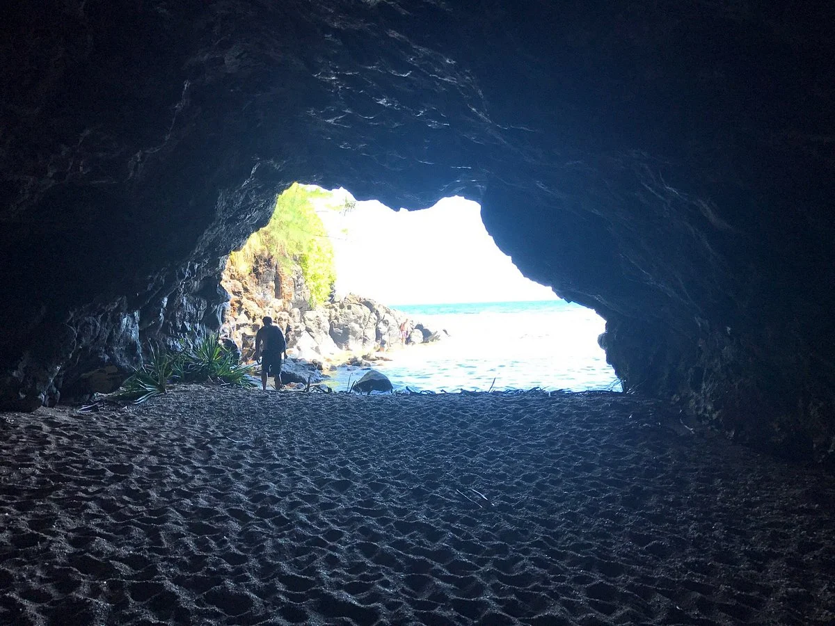 Turtle Cove