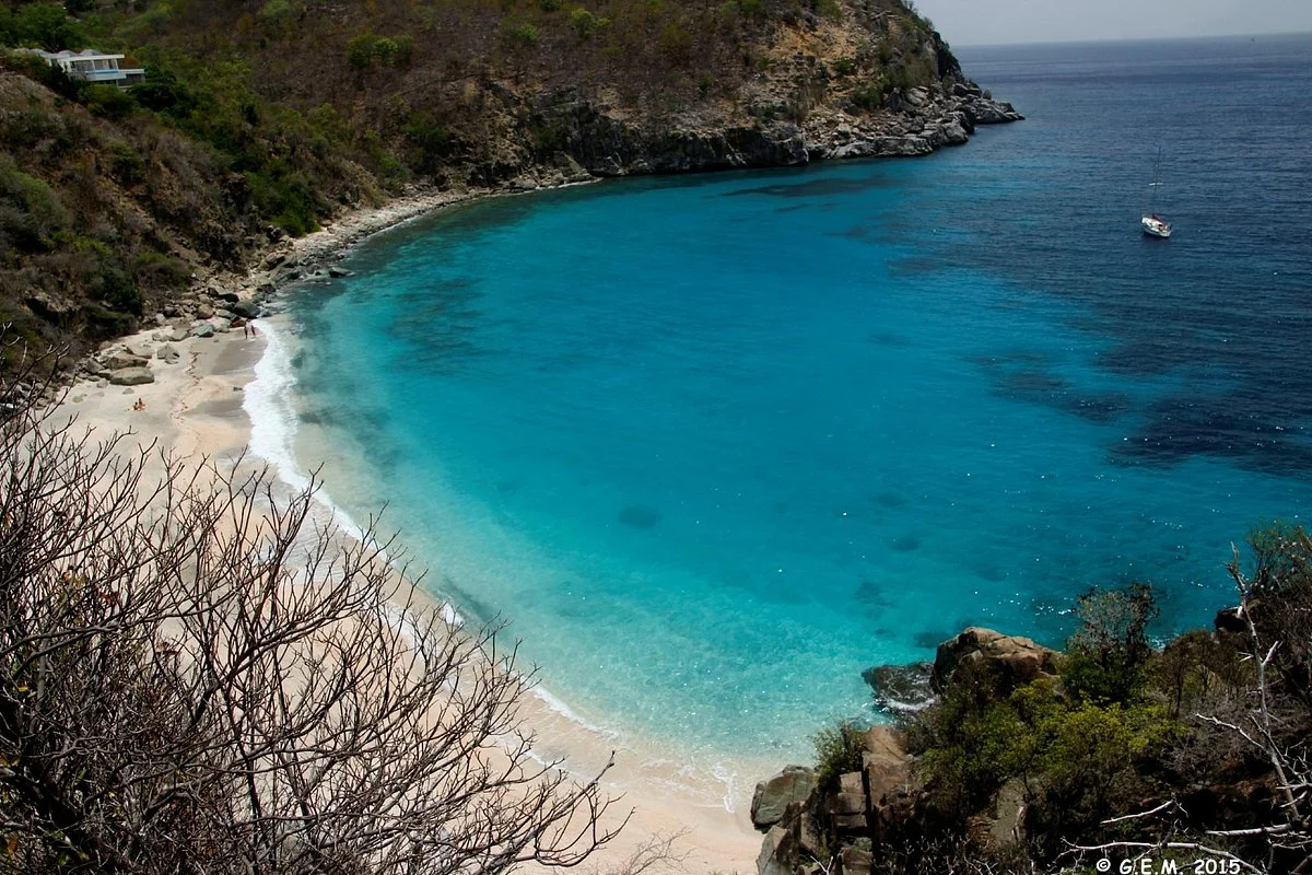 Shell Beach