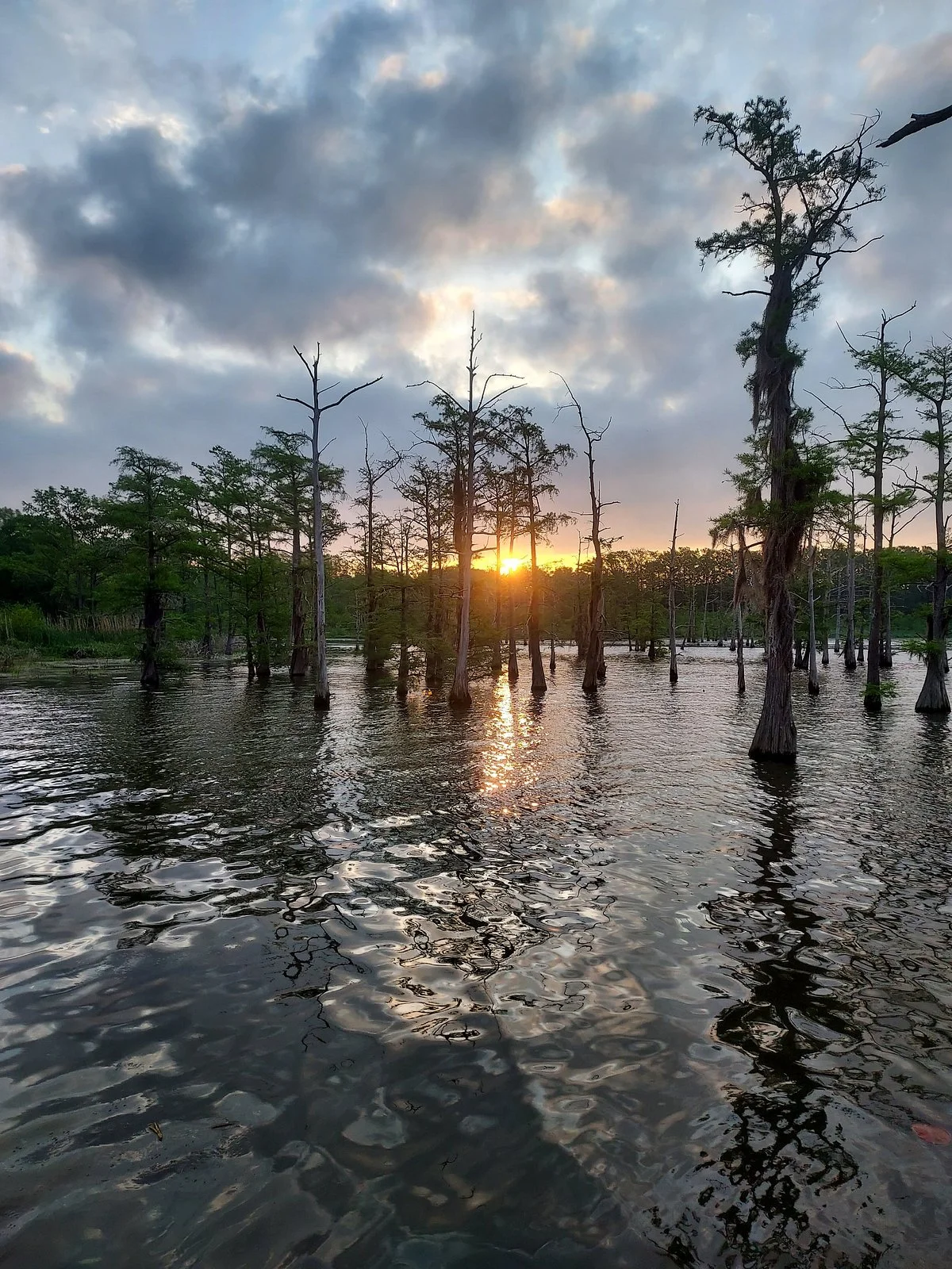 Black Bayou Lake National Wildlife Refuge