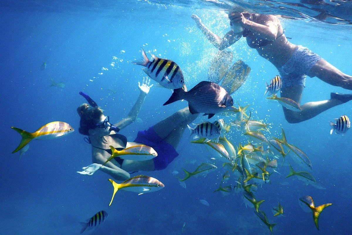 Sombrero Reef