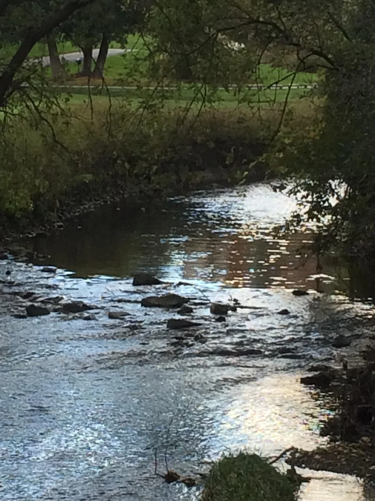 Pomona Mills Park