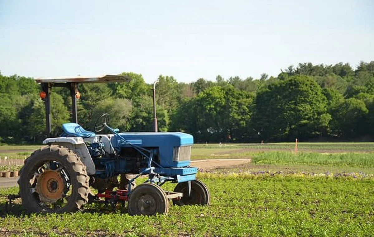 Wilson Farm