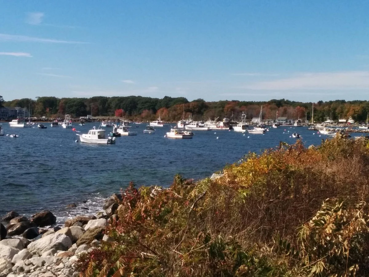 Odiorne Point State Park