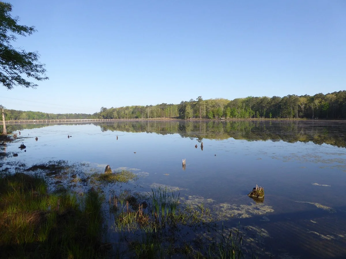 Newport News Park