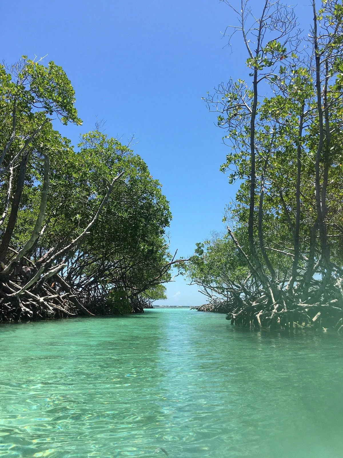 Cayo Caracoles