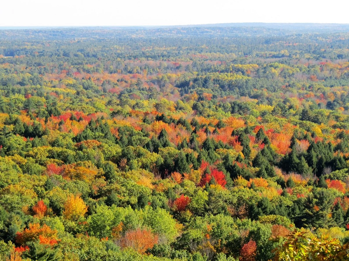 Bradbury Mountain State Park