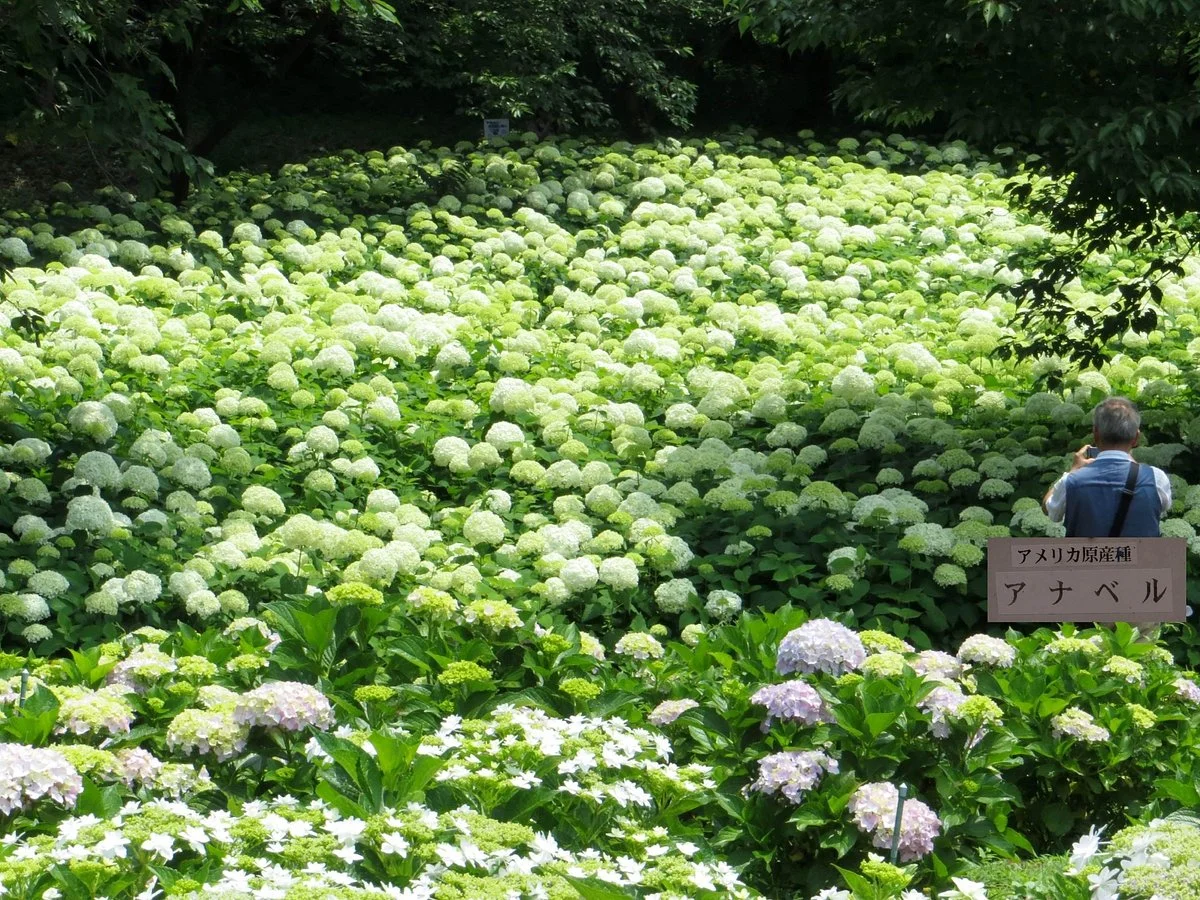 Sagamihara Kita Park