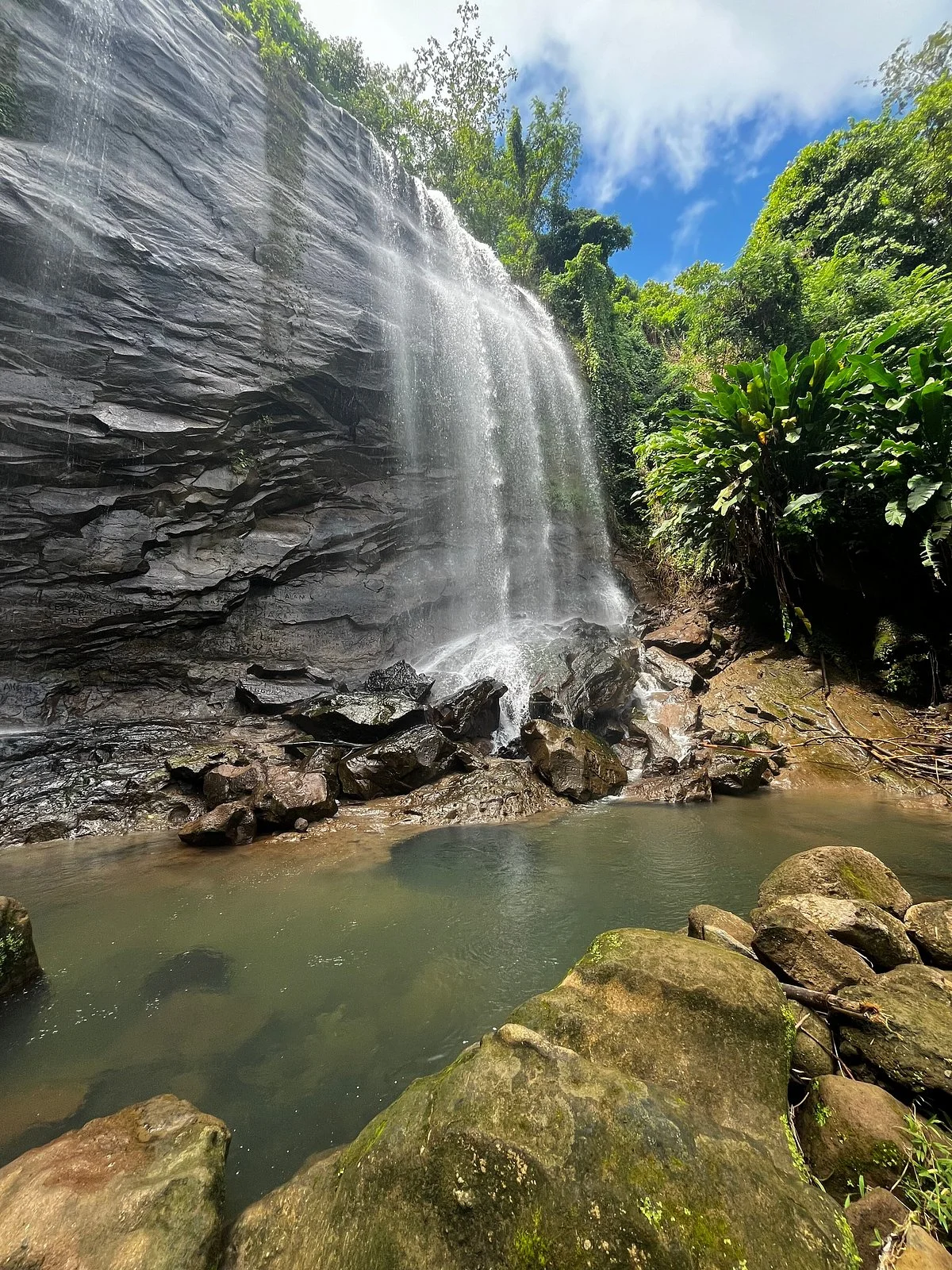 Royal Mount Carmel Falls