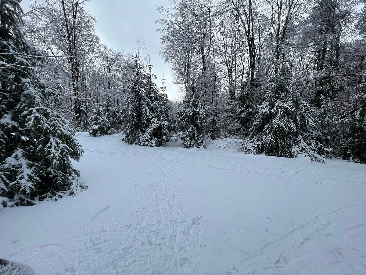 Timber Creek Cross Country Ski Area