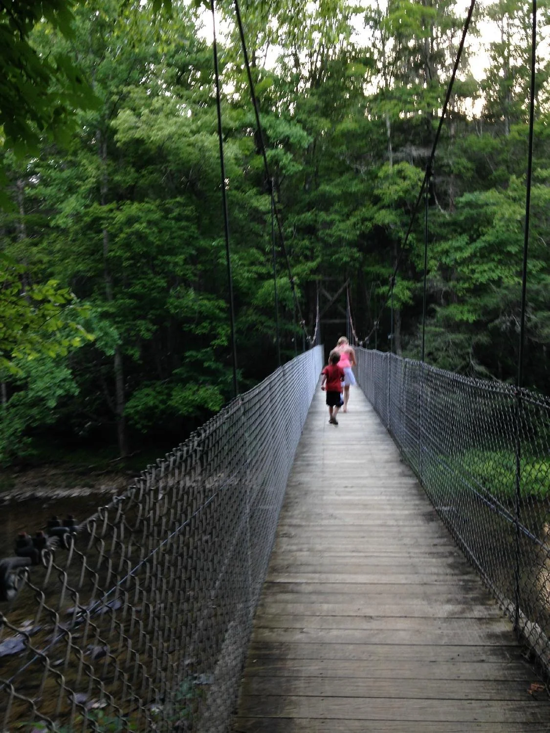 Blue Bend Recreation Area