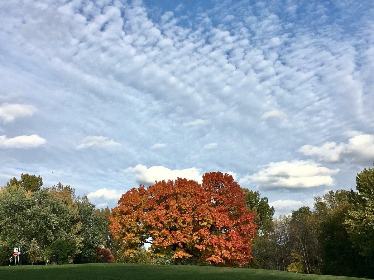 Parc des Prairies
