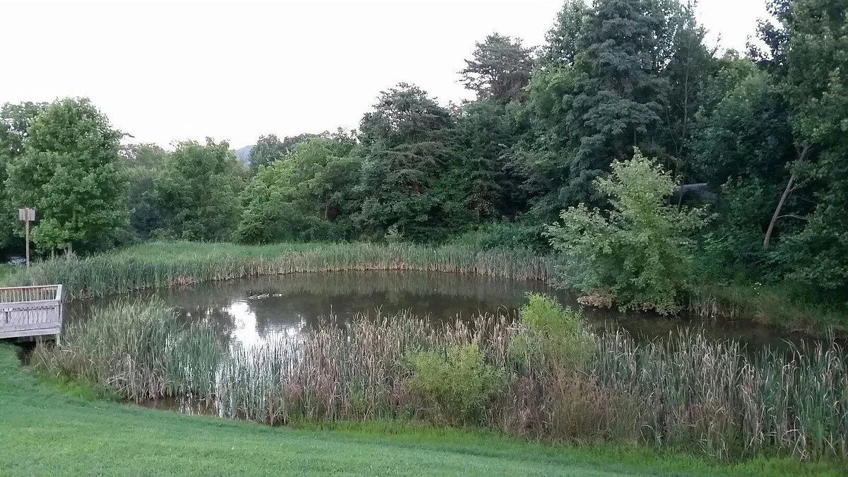 Willow Springs Park