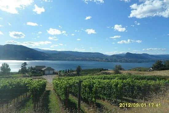 Elephant Island Orchard Wines