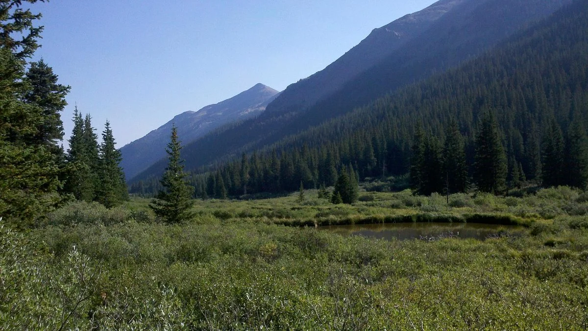 Arapaho National Forest