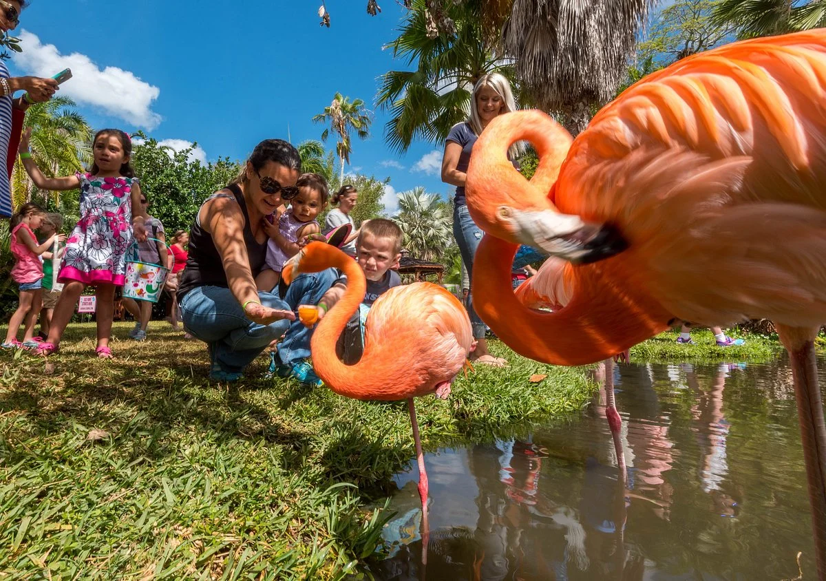 Sarasota Jungle Gardens