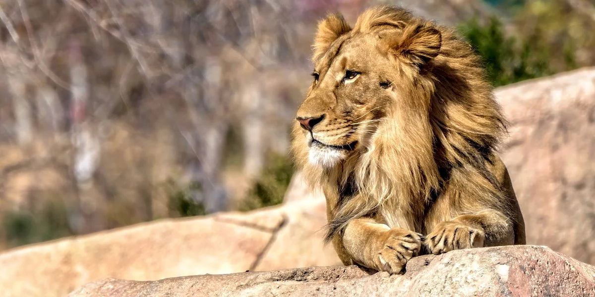 El Paso Zoo