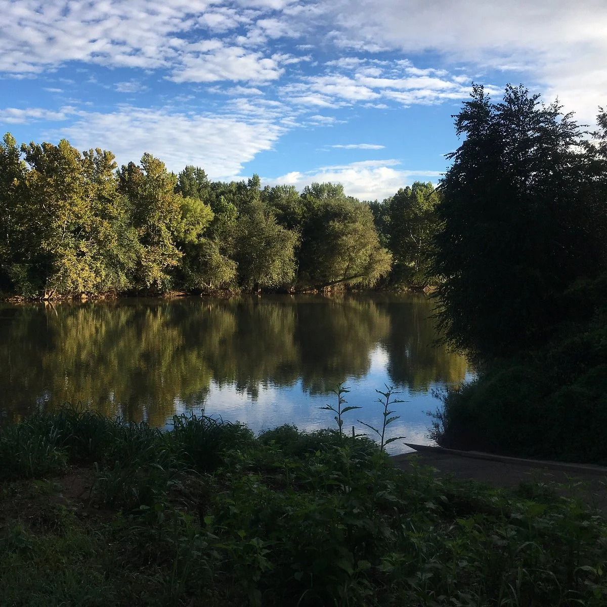 Chattahoochee Bend State Park