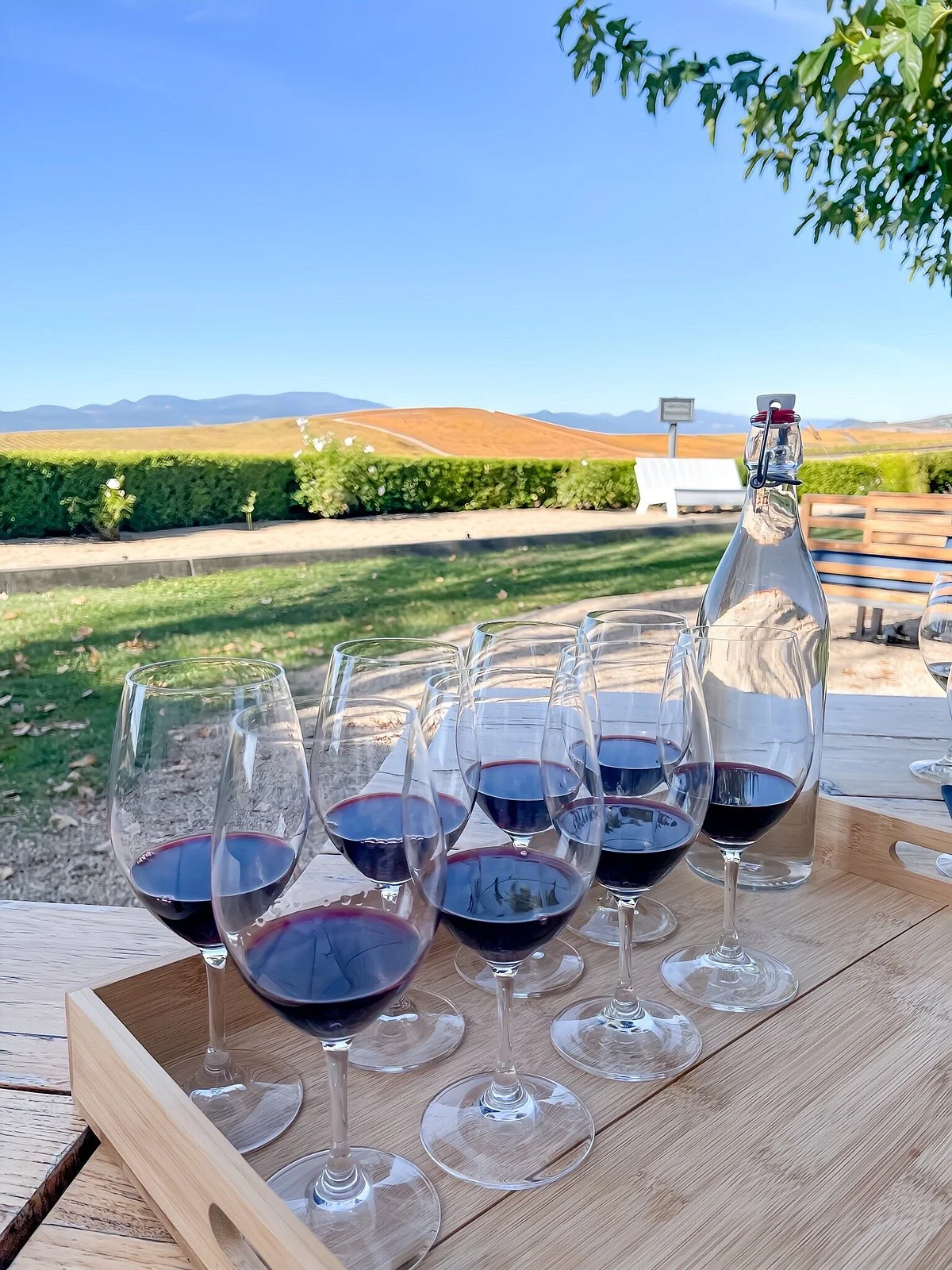 William Hill Estate Winery