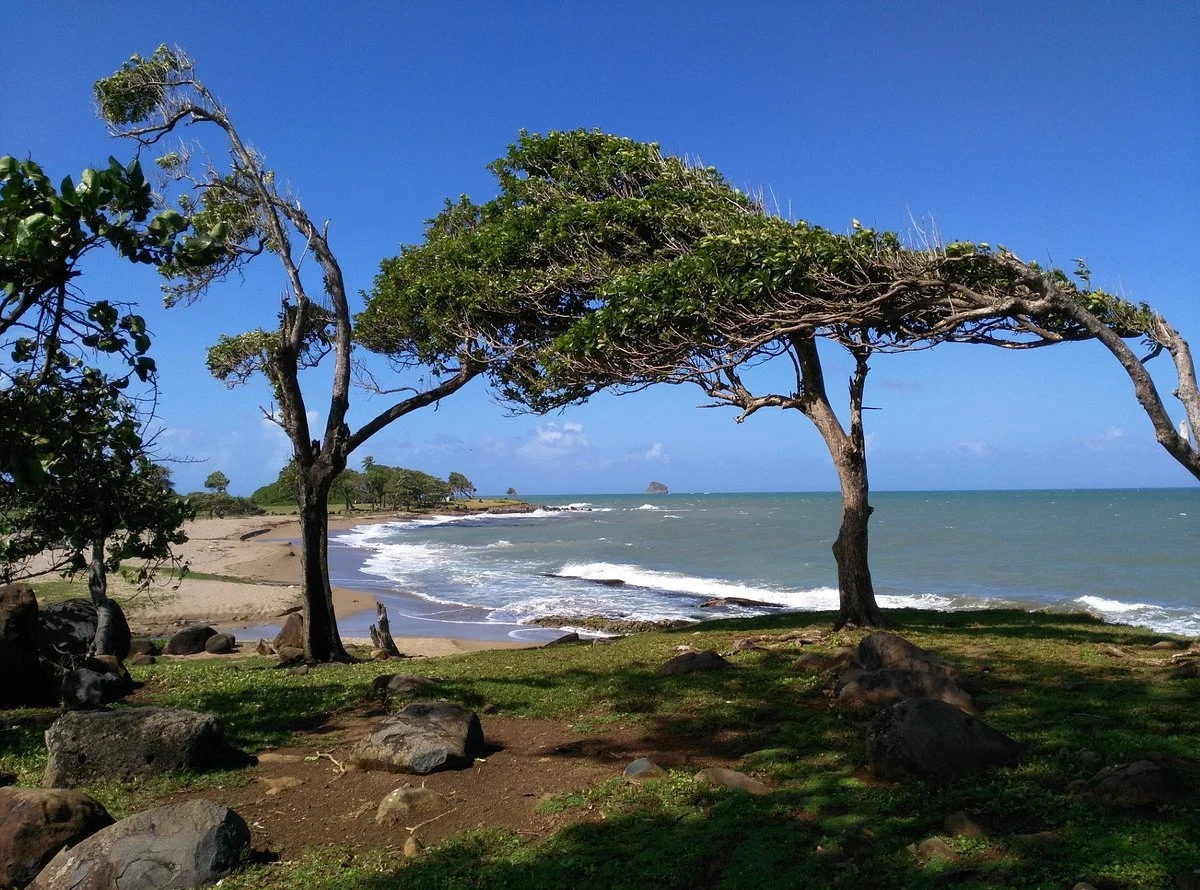 Pointe Allegre