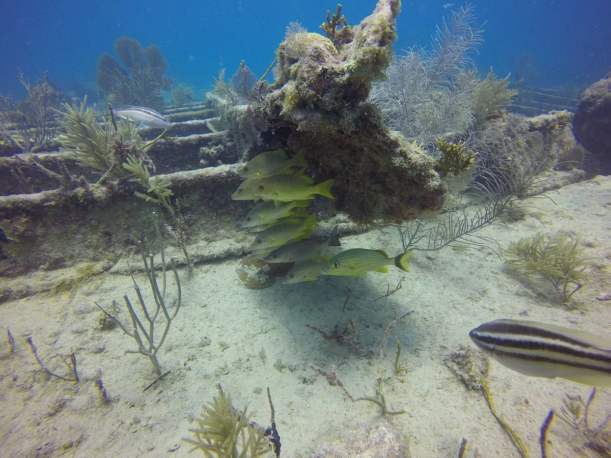 Benwood wreck