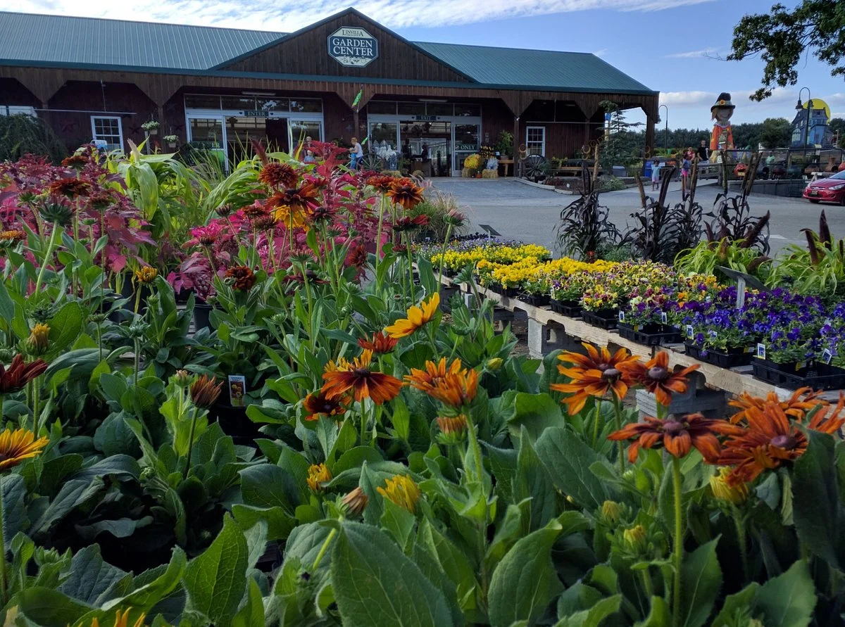 Linvilla Orchards