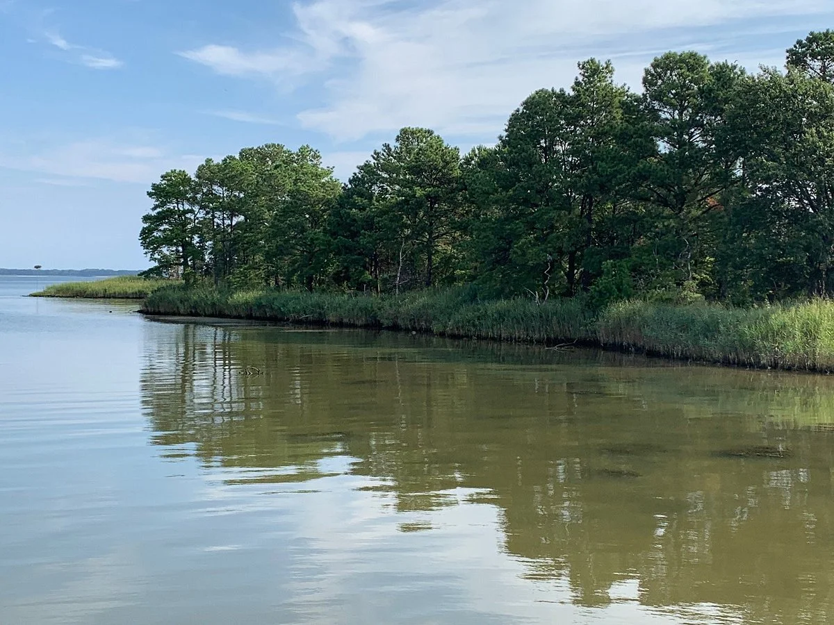 Cross Island Trail