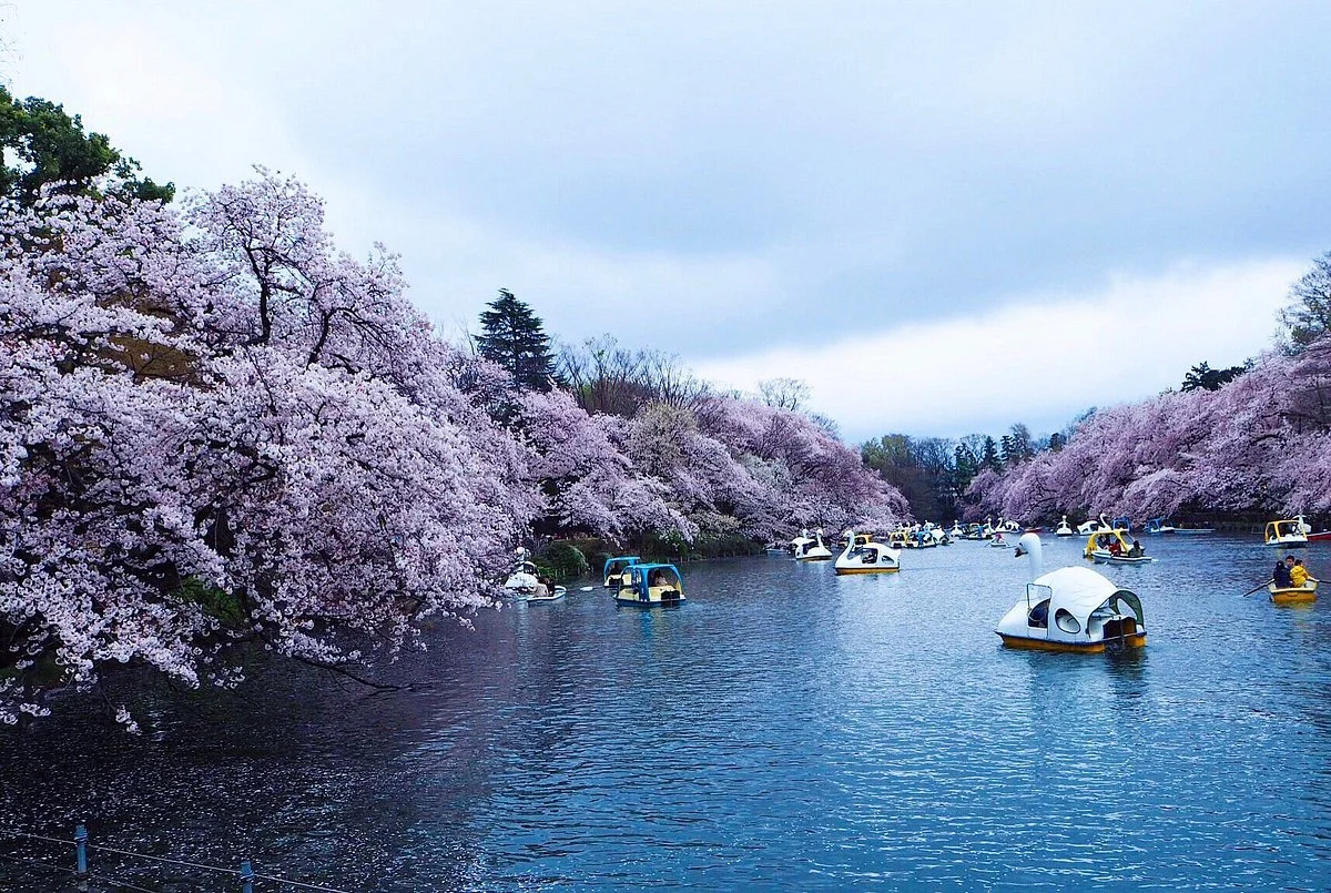 Inokashira Onshi Park