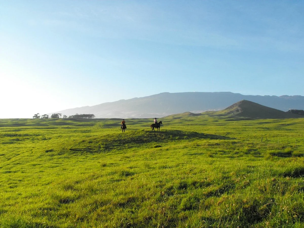 Parker Ranch