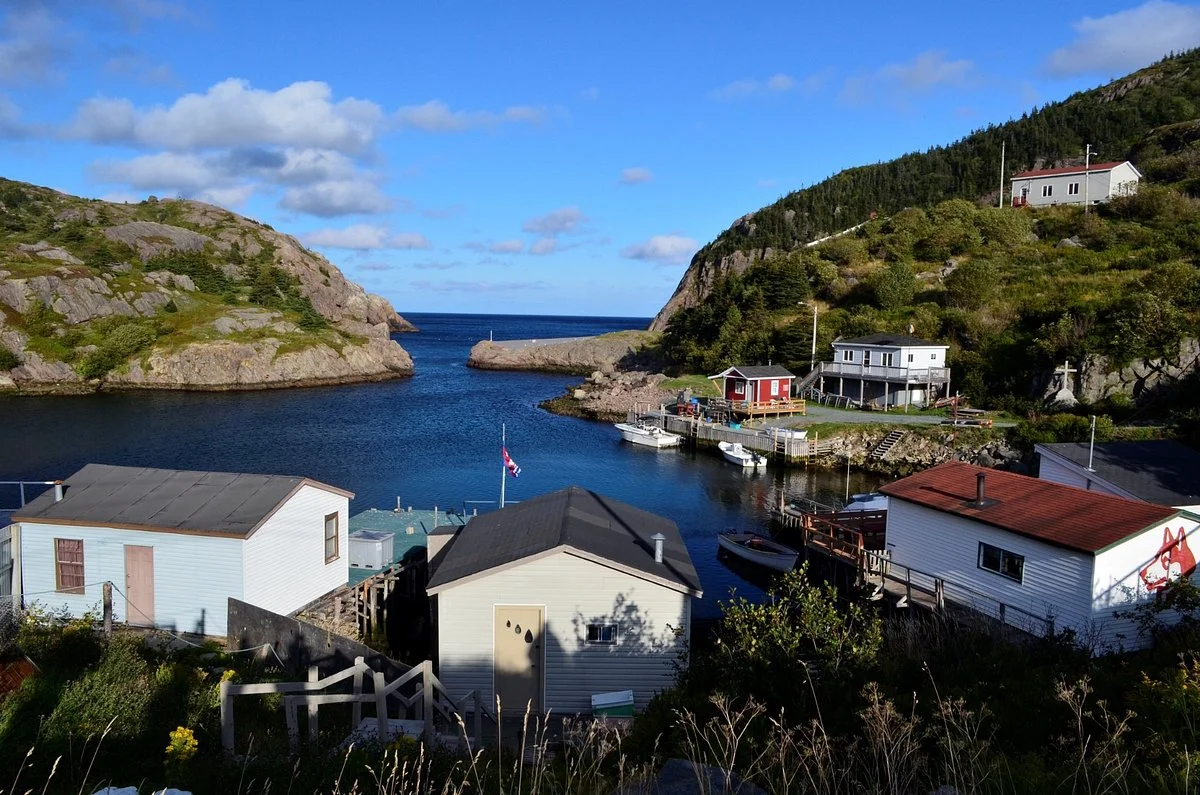Quidi Vidi