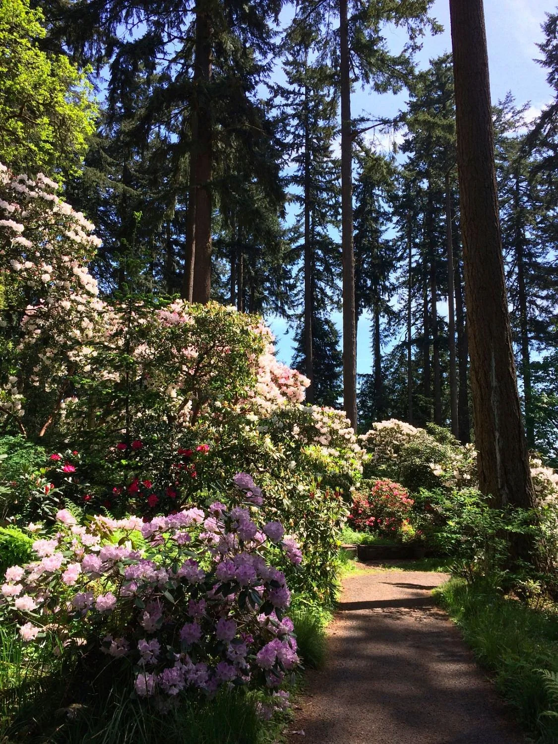 Hendricks Park