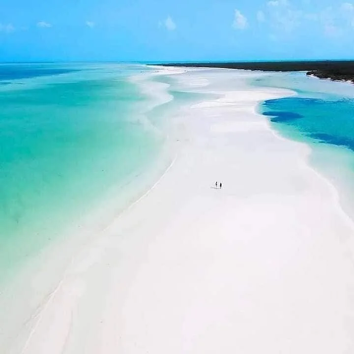 Punta Mosquito