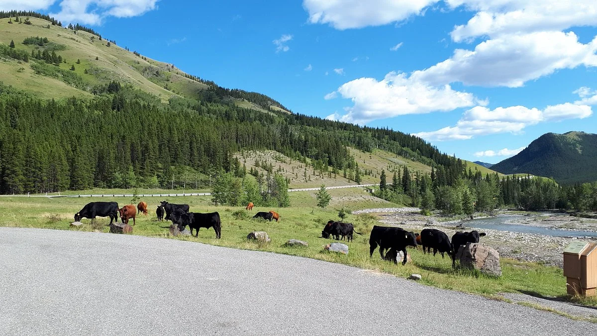 Highwood Pass