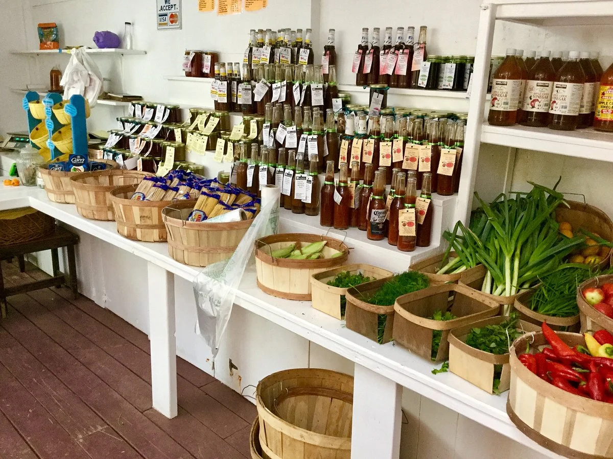 Eleuthera Island Farm