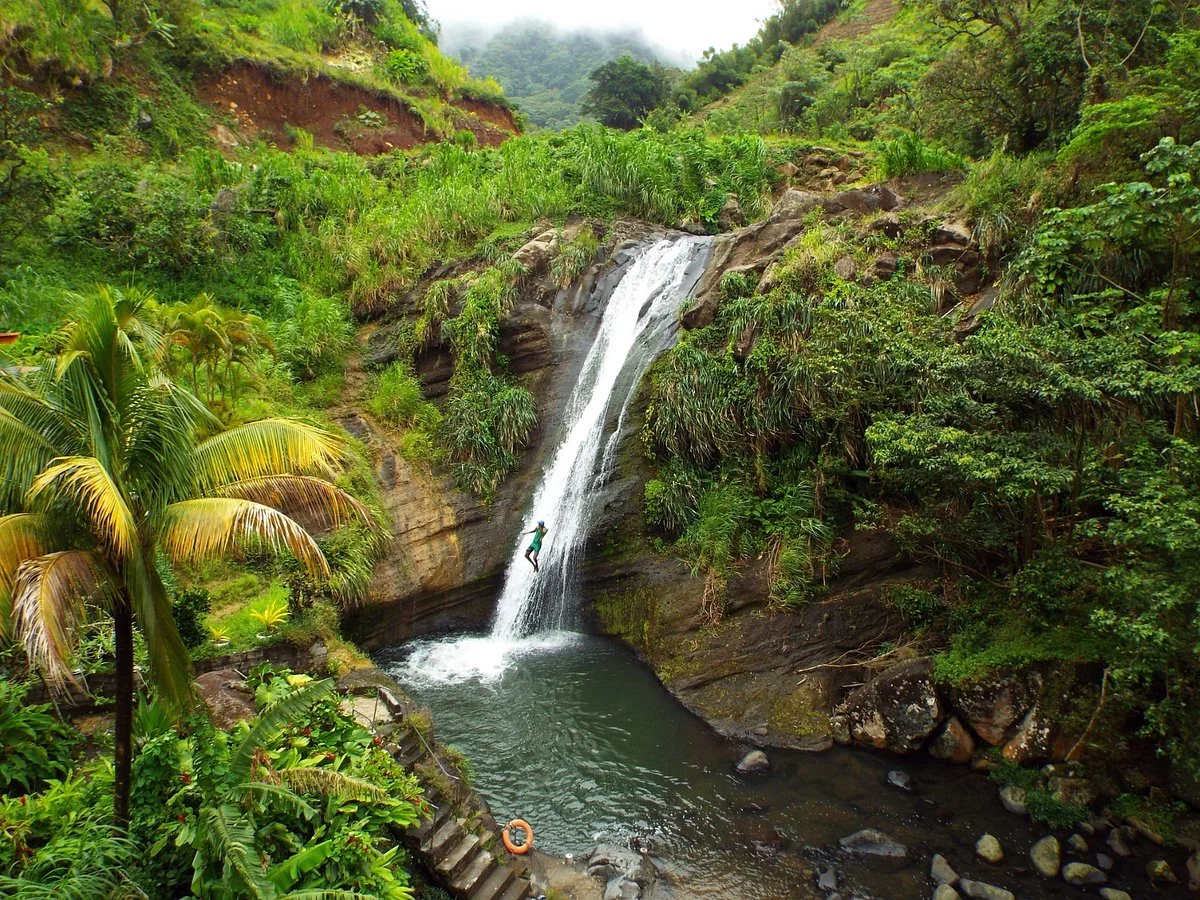 Concord Falls