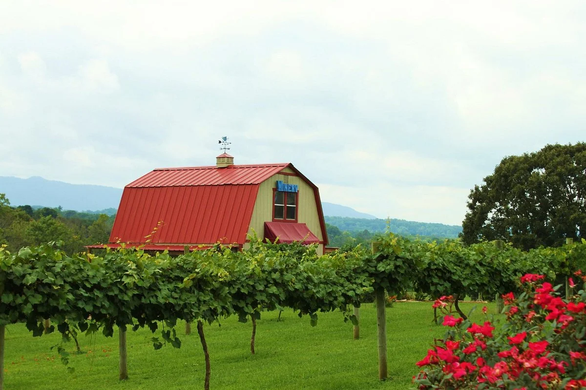 Blue Goose Farm and Vineyards