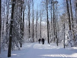Parc Les Salines