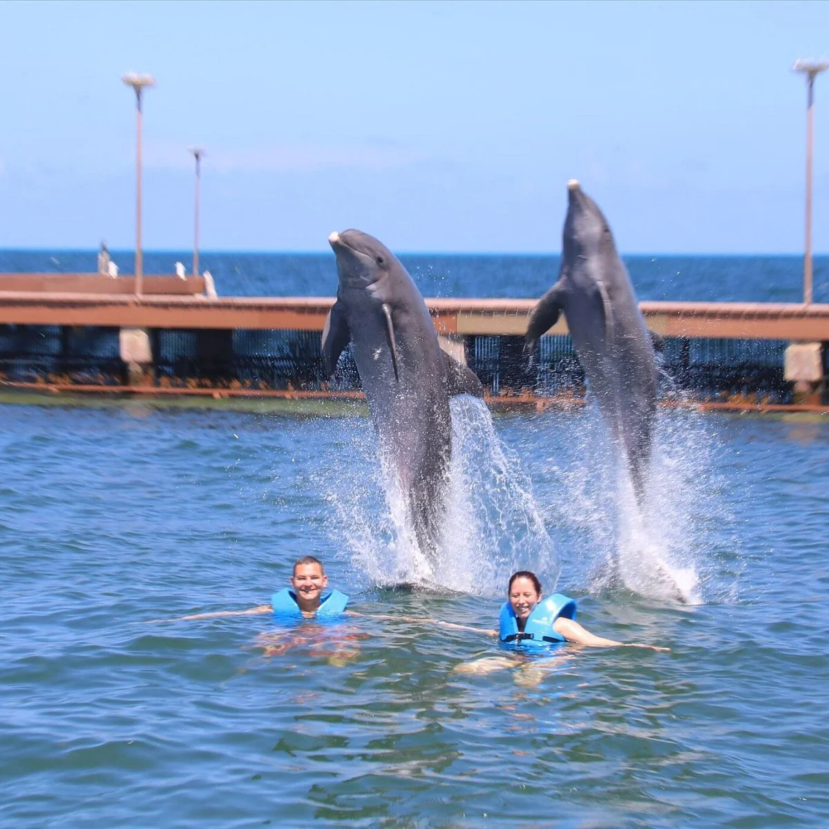 Delphinus Playa Mujeres