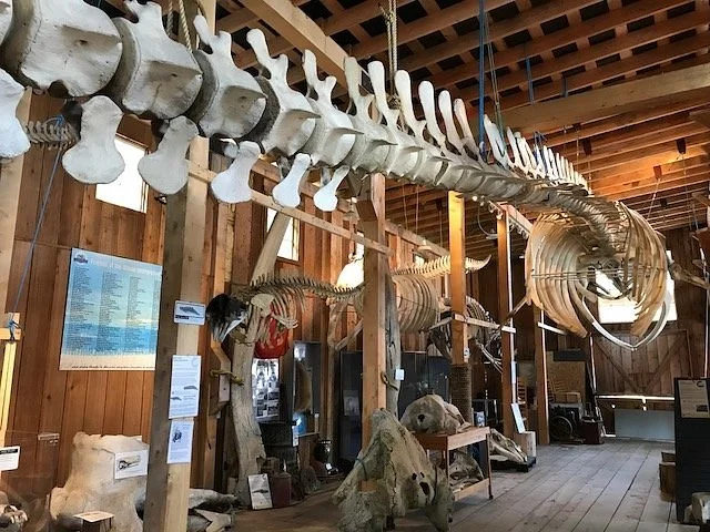 The Whale Interpretive Centre