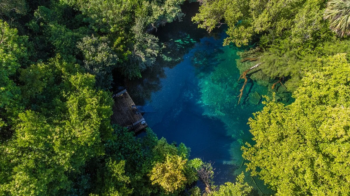 Reserva Ecológica Ojos Indígenas