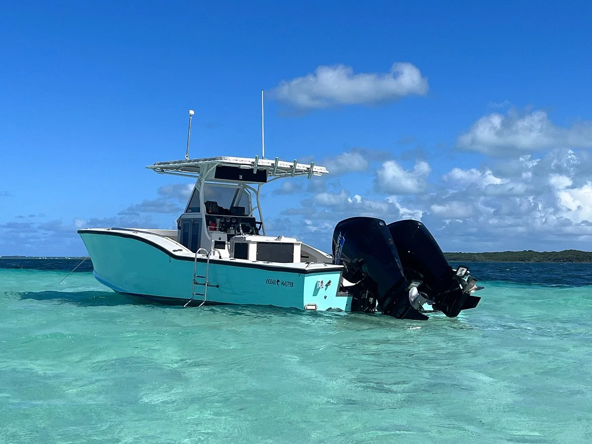 Bahamas Ocean Safaris
