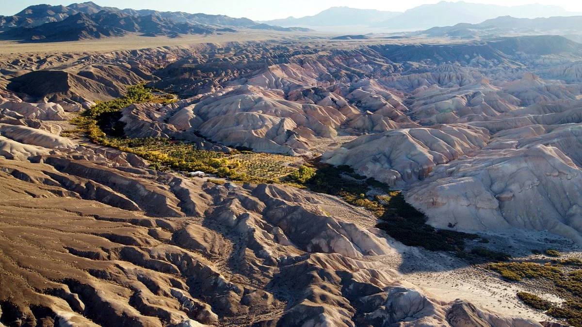 China Ranch Date Farm