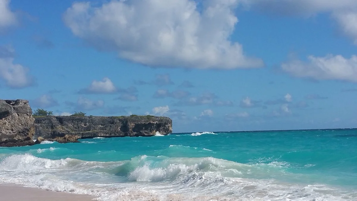 Bottom Bay